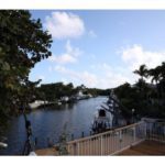 backyard-1-1