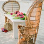 peacock-chairs