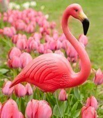 Happy Pink Flamingo Day!