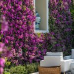 Reinventing-Palm-Beach-Style-designrulz-4