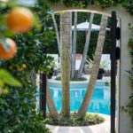 Reinventing-Palm-Beach-Style-designrulz-pool-back-yard