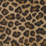 lowes-stainmaster-leopard-carpet