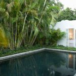 dam-images-decor-2014-08-hase-miami-house-amy-todd-hase-palm-beach-06-pool