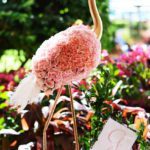 flamingo-carnations-centerpiece