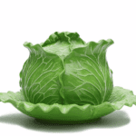 tory-burch-lettuce-ware-tureen-covered