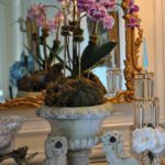 the-enchanted-home-orchids-staffordshire-dogs