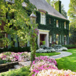 ivy-covered-brick-georgian-home-spring-landscaping-flowers