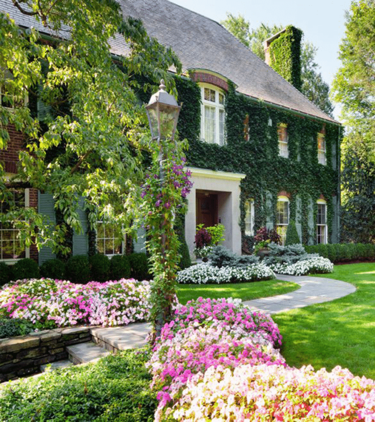 The Truth Behind Ivy-Covered Houses