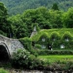 ivy-covered-cottage-picture