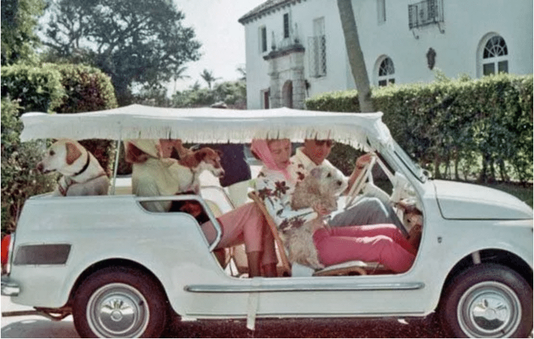 Vintage Palm Beach