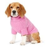 ralph-lauren-pet-cashmere-dog-sweater