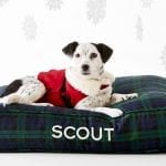 tartan-dog-bed