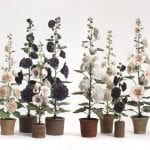veranda-vladimar-porcelain-flowers