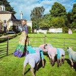 alice-naylor-leyland-mrs-alice-pastel-sheep-lambs-english-countryside