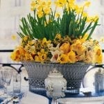 carolyne-roehm-easter-blanc-de-chine-daffodils-yellow-spring-bouquet