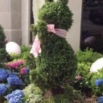 easter-bunny-rabbit-topiary