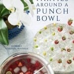 Parties Around a Punch Bowl Book Cover_preview