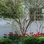 white-picket-fence-gate