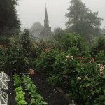 english-parsonage-gardens