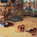 french-scenic-zuber-dog-bed-gilded-console-chair