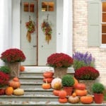 2-southern-living-red-chrysanthemums-pumpkins-bounty-doorstep-decor