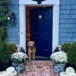 blue-white-planters-export-pumpkins-front-door