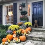 fall-front-door-decorating-ideas-pumpkins-mums-gourds