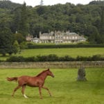 lawers-estate-equestrian-grounds-english-countryside