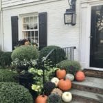 pretty-pink-tulips-pumpkins-front-porch-white-house-black-shutters-boxwood