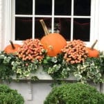 pumpkin-mums-window-box-fall-decorating-traditional-home