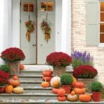 southern-living-doorstep-fall-thanksgiving-halloween-red-chrysanthemums-mums-pumpkins-bounty