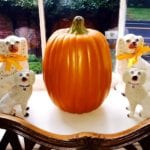 staffordshire-dogs-antique-bows-tied-around-necks-pumpkin-halloween-decor