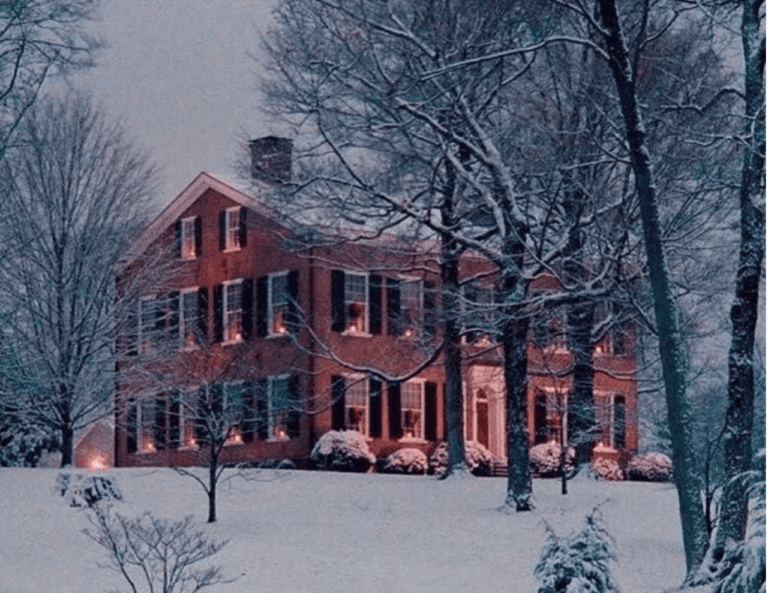 Cyber Monday and Christmas Inspiration