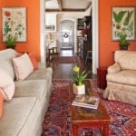 benjamin-moore-bryce-cannon-tangerine-botanical-art-persian-rug