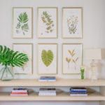 framed-botanical-prints-art