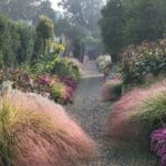 walled_garden_flower_beds