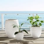 lilly-pulitzer-fronds-place-planters-o