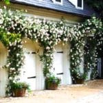 carriage-garage-doors-climbing-roses-pink