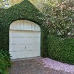 charleston-garage-ivy-covered