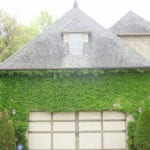 double-garage-ivy-clad