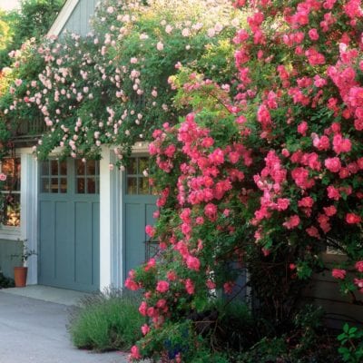 30 Gorgeous Garages You’ll Want to Move Into