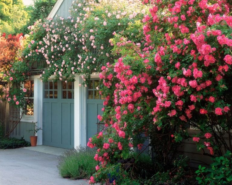 30 Gorgeous Garages You’ll Want to Move Into