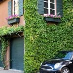 ivy-covered-garage-window-boxes-flowers