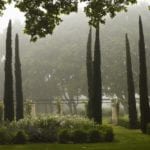 mist-cypress-formal-french-gardens