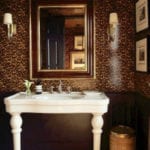 tortoise-painted-powder-room