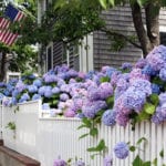 Hydrangea-Walk-Nantucket-Massachusetts-white-picket-fence-american-flag-fourth-of-july