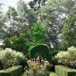 beautiful english-country garden boxwood