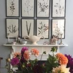 botanical-prints-framed
