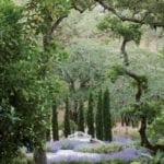 gardens by Stephen Suzman of SCDA los angeles landscaping