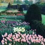 tulip-gardens-english-manor